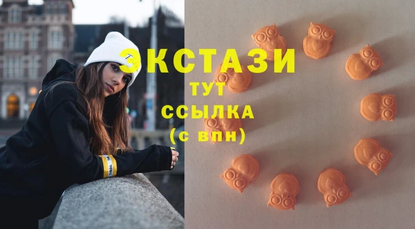 прущие грибы Абаза
