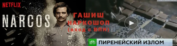 прущие грибы Абаза