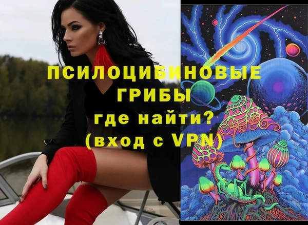 PSILOCYBIN Абдулино