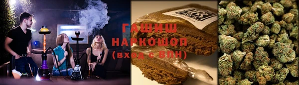 прущие грибы Абаза
