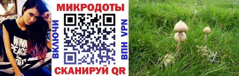 мориарти телеграм  Дальнереченск  Псилоцибиновые грибы MAGIC MUSHROOMS 