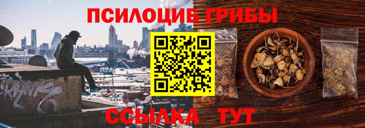 Дальнереченск  Галлюциногенные грибы ЛСД  магазин продажи   Вход с VPN 