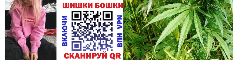 как найти   Дальнереченск  МАРИХУАНА OG Kush 